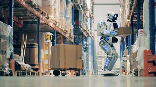 Warehouse Robot Picks Up Boxes and Place Them on a Cart