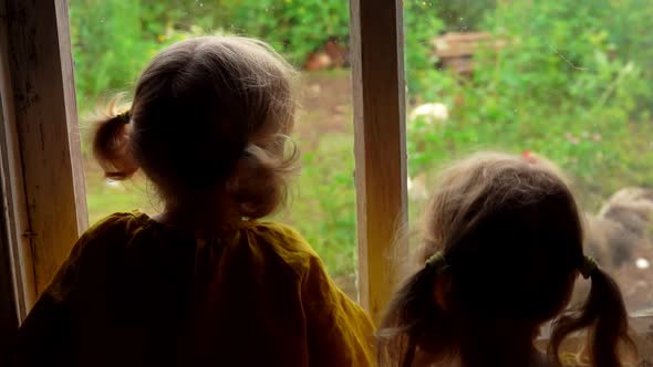 View From Behind of Cute Blonde Little Girls Watching a Rooster From the Window