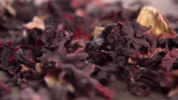 Red flower dry hibiscus tea. Falling pink dried petals in slow motion
