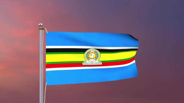 East African Community Flag 4k