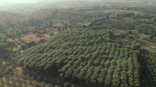 Aerial view of rural mountain, agriculture fields, landscape of countryside