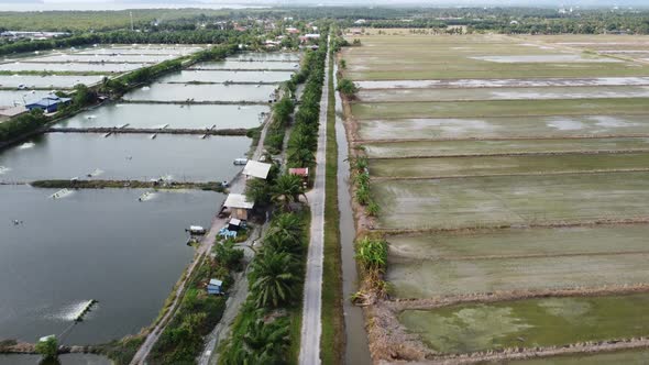 Drone shot fly at rural path near shrimp farm