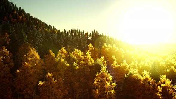 Bright Sunset in the Mountains alt