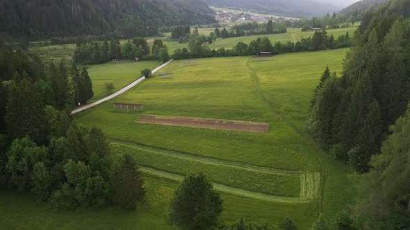 Forest, fields and farmland