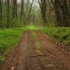 Dirt Road Hiking in Green - VideoHive Item for Sale