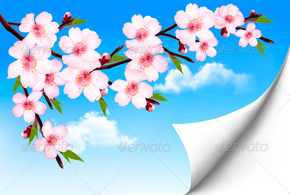 background ppt bunga sakura