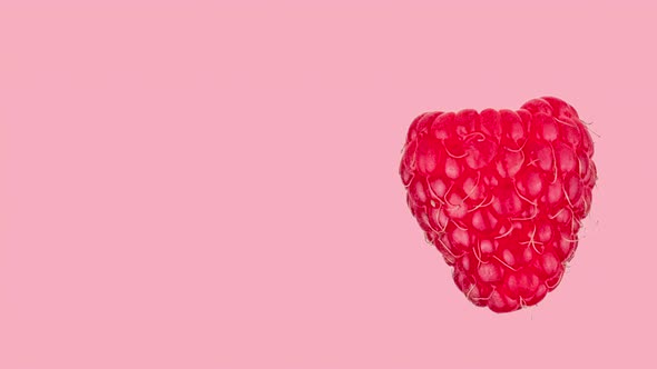 fresh ripe raspberry rotating on a pink background close-up