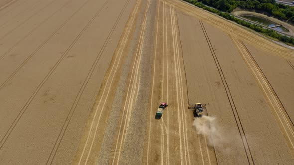 Top down view of Harvester machine working in wheat field 