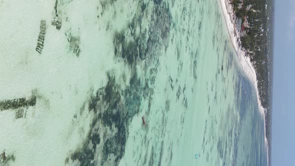 Vertical Video of the Ocean Near the Coast of Zanzibar Tanzania Aerial View