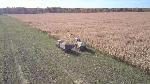 Aerial Harvester and Tractor with Trailer Work on Corn Field