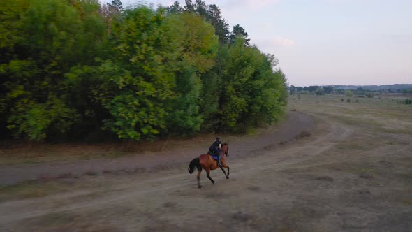 View From the Height of Woman Riding a Brown Horse By Gallop Outdoors