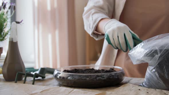 Woman Planting Pot Flowers at Home