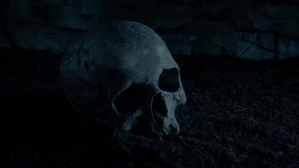 Skull On Floor Of Old Building In The Dark