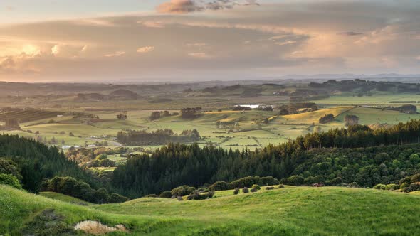 Panoramic View of Rural Natural Scenery of New Zealand at Golden Light of Sunny Summer Evening