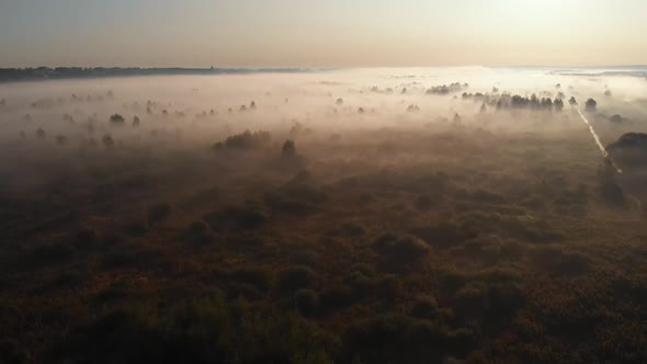 Epic aerial view of sunrise fog covering field with trees.