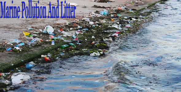 Marine Pollution And Litter