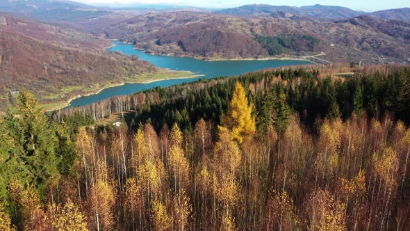 Aerial Images Over The Forest Autumn With River On The Horizon