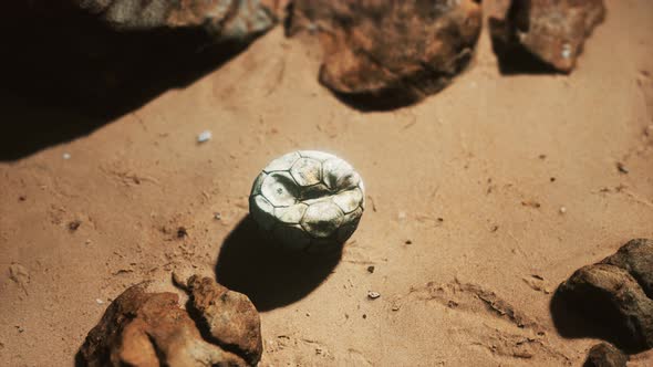 Old Football Ball on the Sand Beach