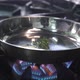 Frying Fresh Thyme in Large Pan on Contemporary Stove - VideoHive Item for Sale