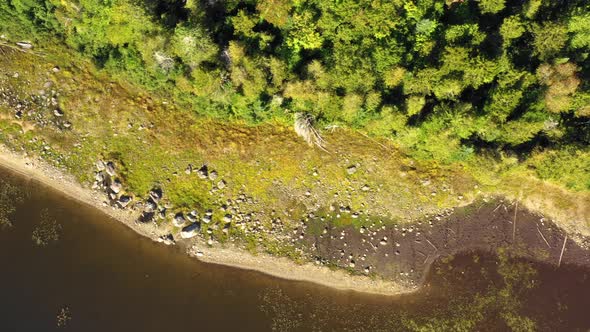 Early fall aerial footage of remote lake in northern Maine sliding right along grassy shoreline TOP