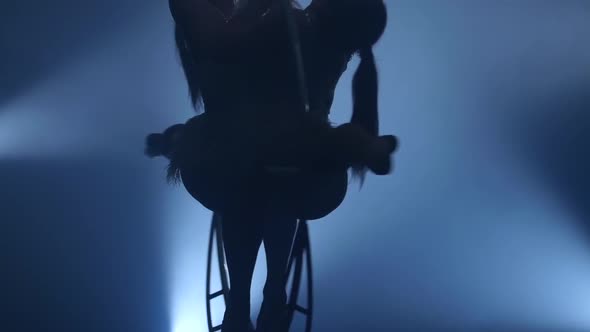 Graceful Element in the Aerial Hoop. Black Smoke Background. Slow Motion. Close Up. Silhouette