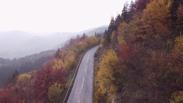 Aerial Shot Of A Car Driving Down A Road In An Autumn Forest
