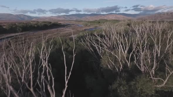 Nature of New Zealand aerial