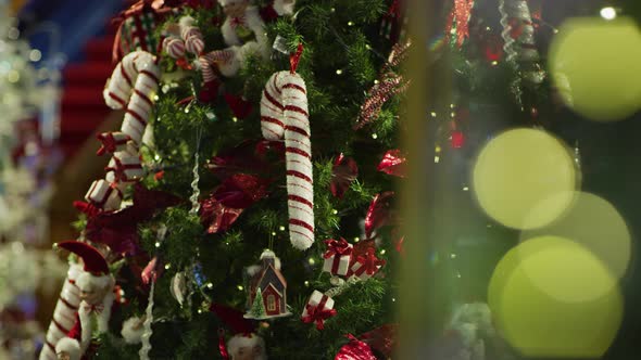 Christmas tree and bokeh lights