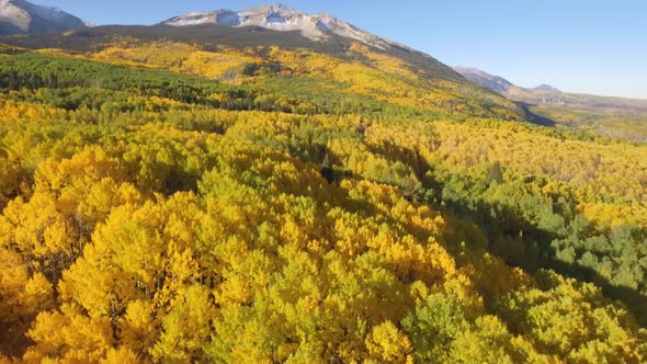 Fall colors in Crested Butte, Colorado