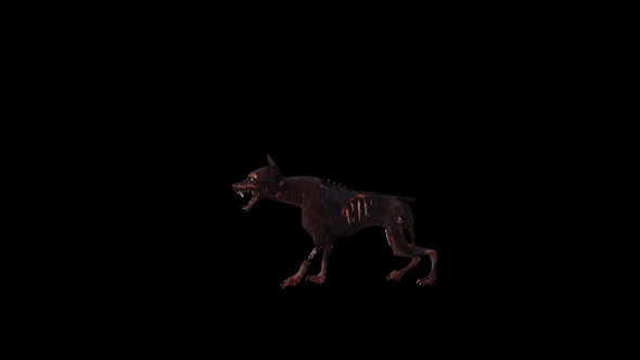 Zombie Dog