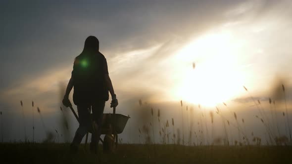 Gardener Woman Pushing Wheelbarrow with Vegetables at Sunset. Silhouette of a Young Farmer Girl in