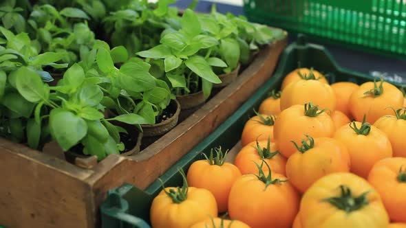 Outdoor Farmers Market with Fresh Produce