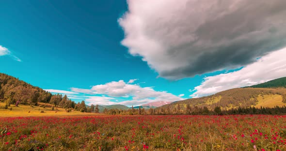 Mountain Meadow Timelapse at the Summer or Autumn Time