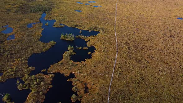 Aerial birdseye view of Dunika peat bog (mire) with small ponds wooden pathway trail in sunny autumn