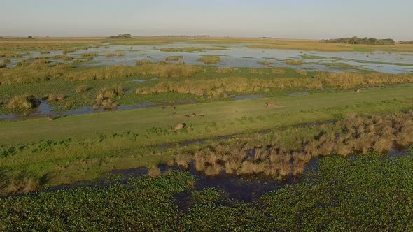 Aerial view flying through Ibera Wetlands, Corrientes Province, Argentina