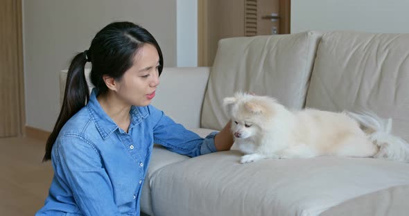 Woman play with Pomeranian dog at home