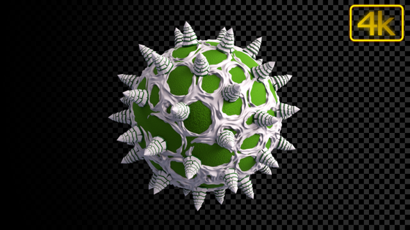 Christmas Trees Looped