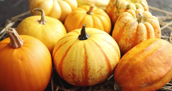 Mellow Pumpkins Laid on Hay