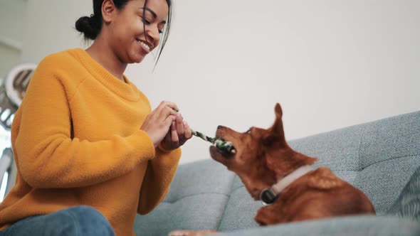 Cheerful African woman playing with her dog