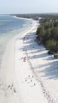 Vertical Video of the Beach on Zanzibar Island Tanzania