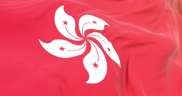 Realistic Hong Kong Flag Close Up 4K Loop