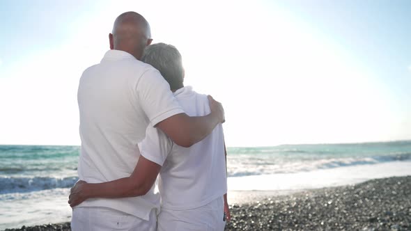 Back View of Happy Asian Son Hugging Senior Greyhaired Mother Admiring Picturesque Sunset at