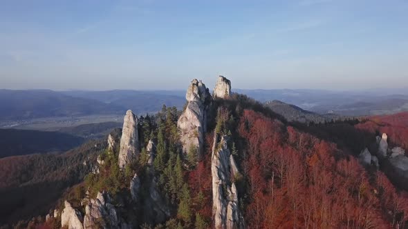 Flight Over Cliffs in Autumn Forest