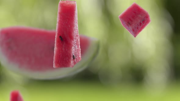 Flying of Watermelon and Slices in Garden Background