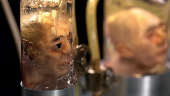 Human Heads Without a Body in Cylindrical Glass Vessels (Flasks), in a Liquid with Air Supply alt