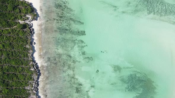 Vertical Video of the Ocean Near the Coast of Zanzibar Tanzania Aerial View