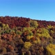 Aerial drone of autumn day with beautiful vibrant colorful leaves in the trees. Enjoying life. - VideoHive Item for Sale
