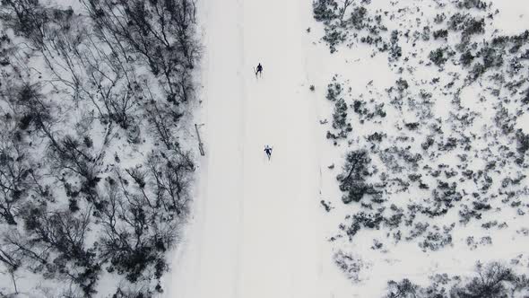 Two skiers on a snowy path from above in cold winter climate