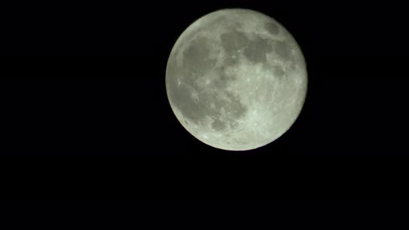 Full Moon in the Night Sky