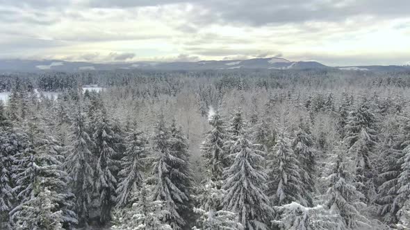 Ariel footage of snow covered landscapes.